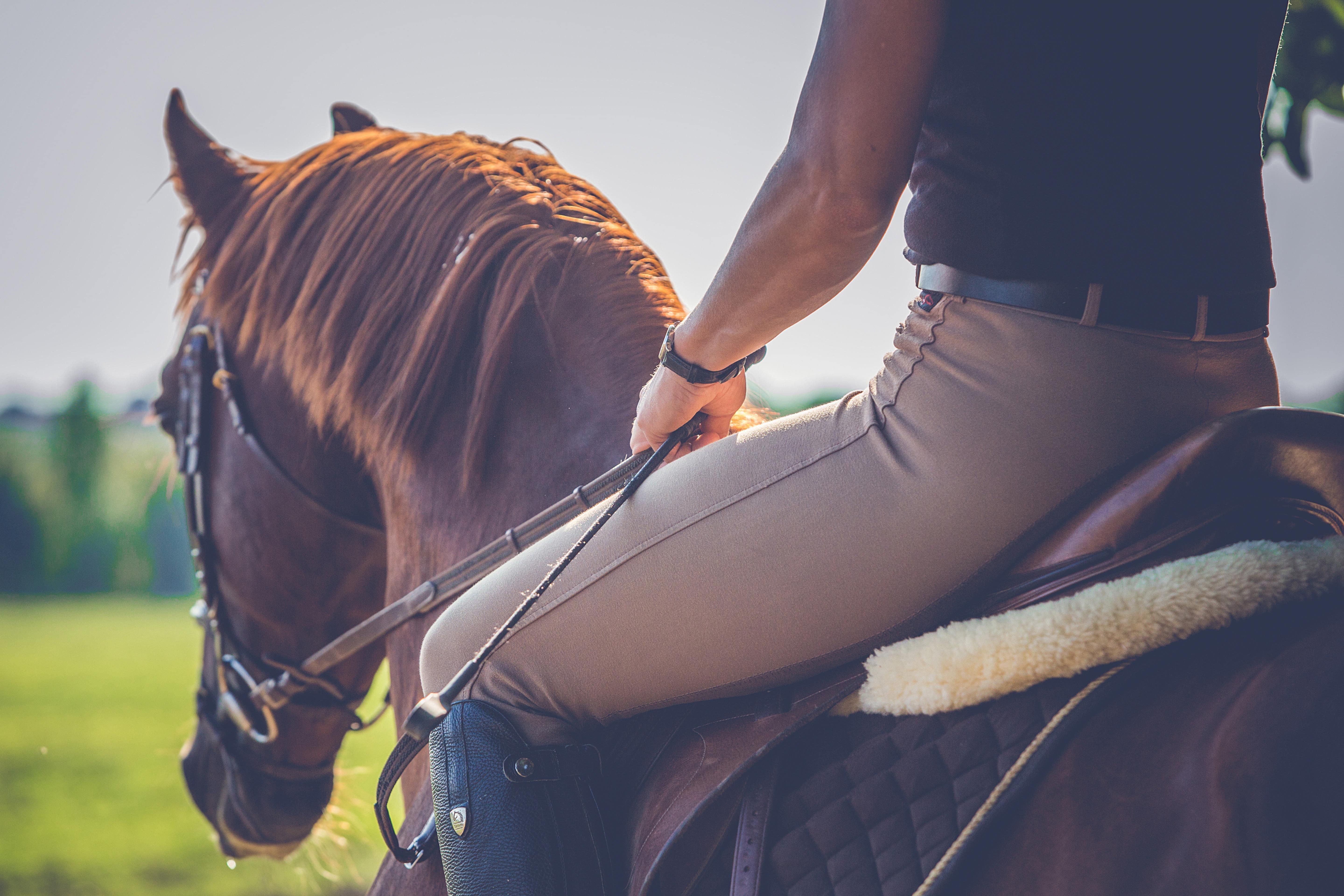 Equestrian's Choice | Bestill hesteutstyr på nett